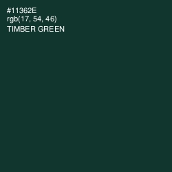#11362E - Timber Green Color Image